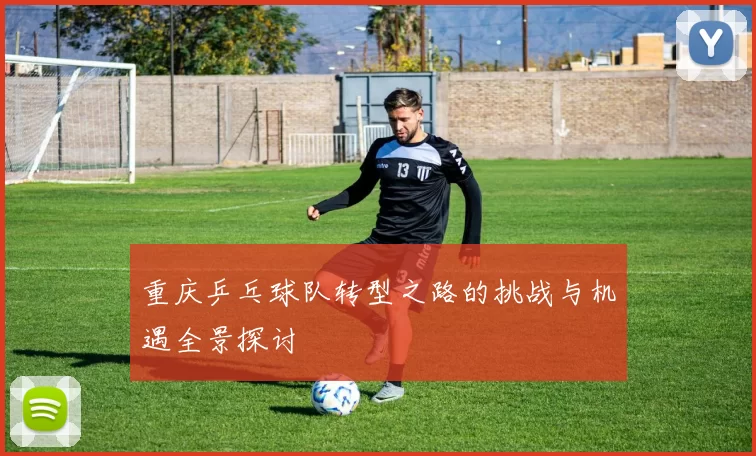 重庆乒乓球队转型之路的挑战与机遇全景探讨