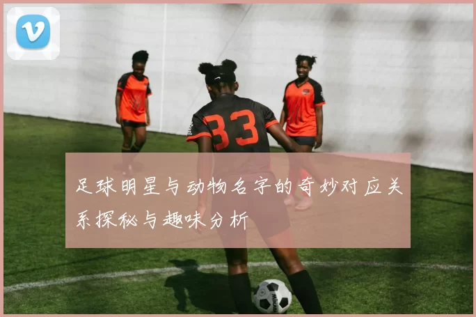 足球明星与动物名字的奇妙对应关系探秘与趣味分析