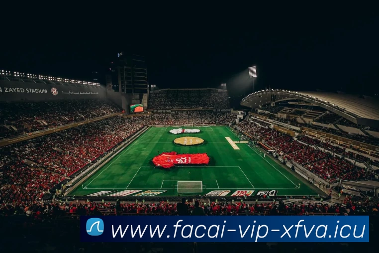 乐鱼体育发展历程